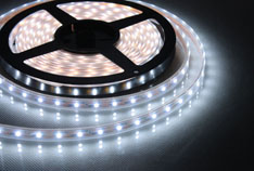 width SMD Flex LED Strip